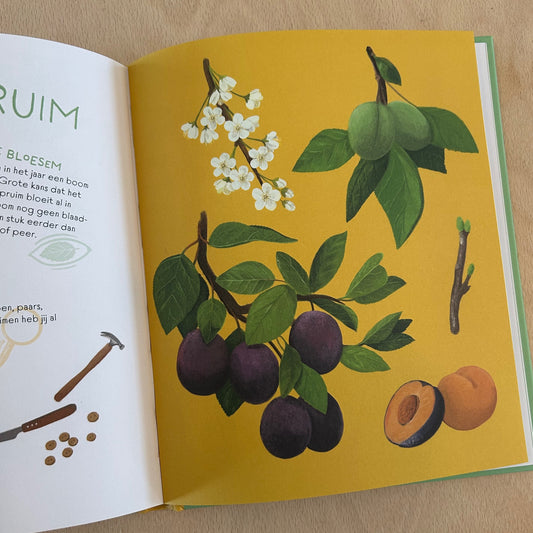 Blaadjesboek